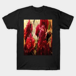 The roses - flowers T-Shirt